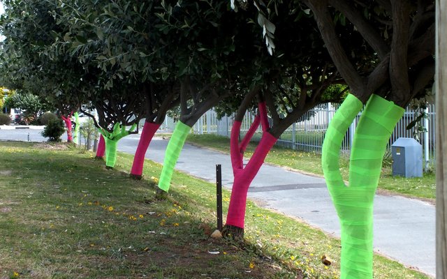 Die groen- en pienk versierde bome in Hoofstraat vir Bors-kankermaand is deur Chrizulene van Niekerk geÃ¯nisieer is, met die ondersteuning van Gansbaai Toerisme- en Gansbaai Sakekamerlede en Gansbaai Superspar. Pienk simboliseer Bors-kankermaand en Groen simboliseer â€œLife Eco - Live life to the fullestâ€. Gansbaai Toerisme rig â€˜n uitdaging aan inwoners om dieselfde met bome by hul wonings te doen. 